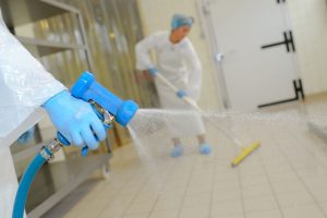 Disinfestazioni Blatte Roma