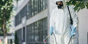 Disinfestazione Roma