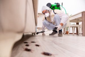 Disinfestazione certificata Roma